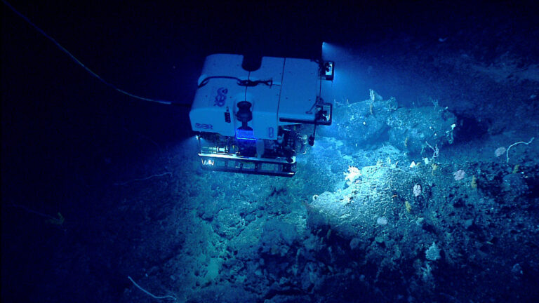Pojazd podwodny ROV Deep Discoverer bada koralowce głębinowe na zboczu góry podmorskiej Retriever na Atlantyku. Fot. NOAA.