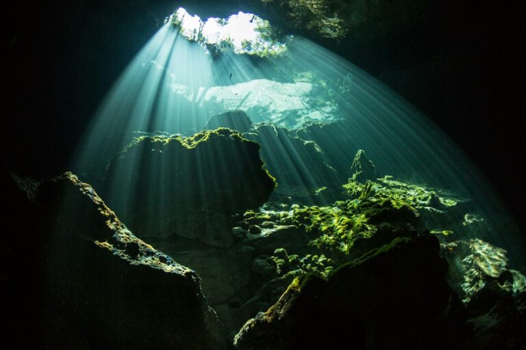 Podwodna kawerna na Bahamach, rozświetlona naturalnym światłem wpadającym od wejścia – zdjęcie ilustracyjne do szkoleń SSI Cavern Diving