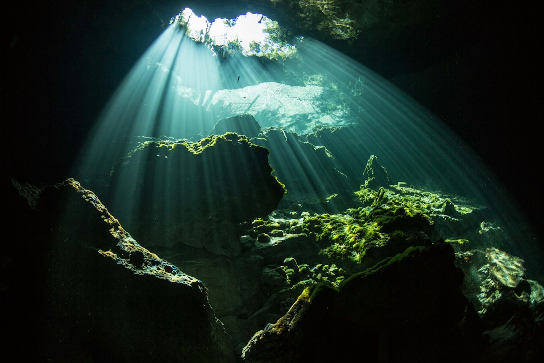 Podwodna kawerna na Bahamach, rozświetlona naturalnym światłem wpadającym od wejścia – zdjęcie ilustracyjne do szkoleń SSI Cavern Diving